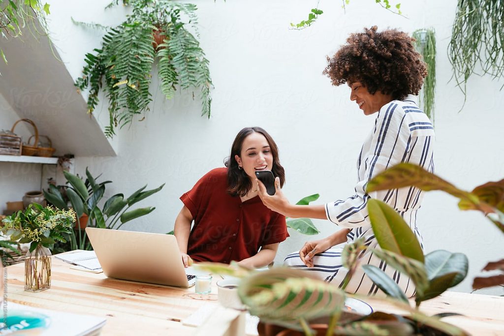 best air purifying indoor plants