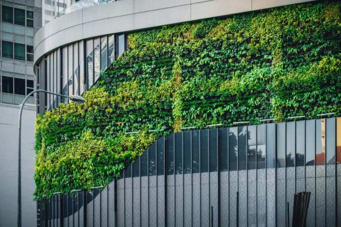 What are green building practices for sustainable development