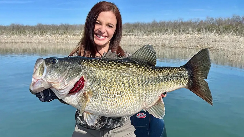 Can beginners enjoy bass fishing on these lakes