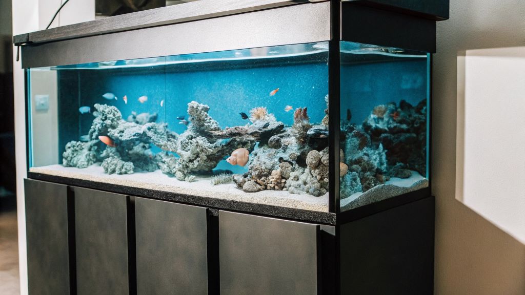 Top 10 Beginner Mistakes You Want to AVOID