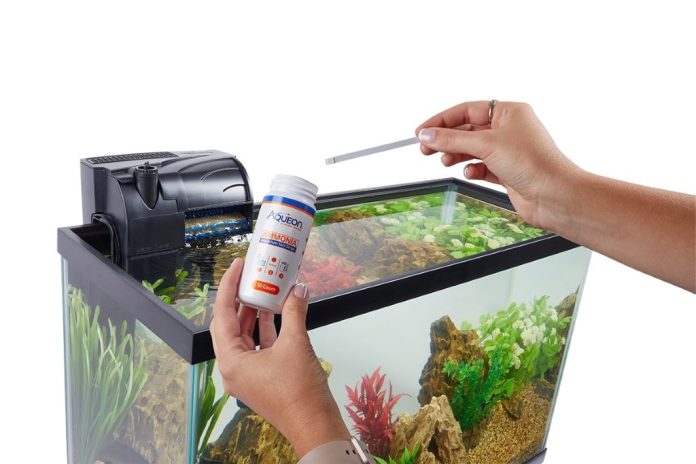 Identifying signs of poor aquarium water quality guide free