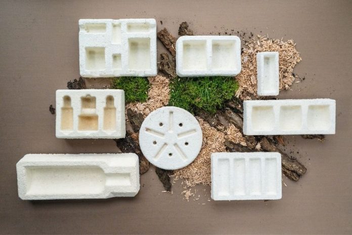 Mycelium-based packaging materials replacing plastic in eco-friendly product design